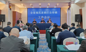 湖南省召开规范直销打击传销工作会议
