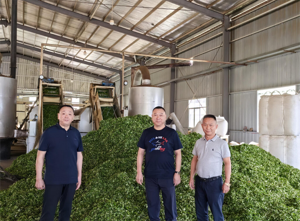 董事长陈社强一行调研茶叶原料 为产品质量保驾护航