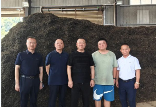 理想华莱陈社强调研茶叶原料 为产品质量护航
