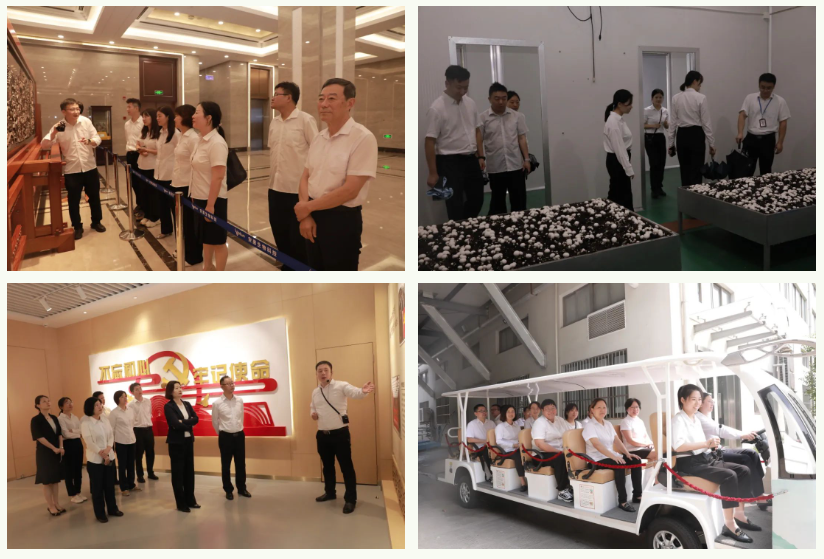 安惠公司开展员工深入学习企业文化，参观企业园区活动