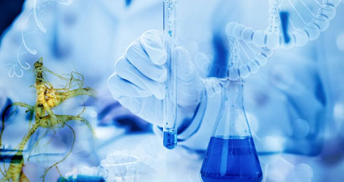 安然植物干细胞技术再次获评“国内领先”