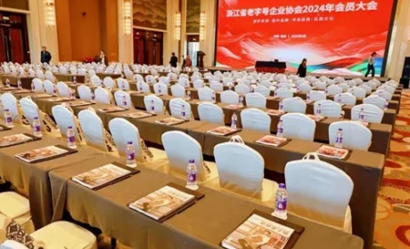 致中和荣获2024年度品牌创新企业称号