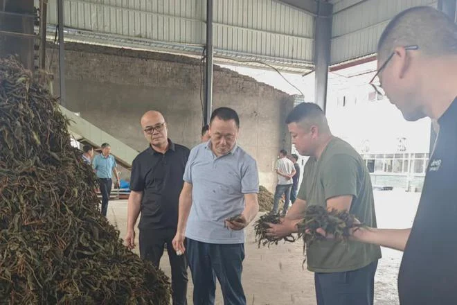 品控溯源 ‌理想华莱生产管理团队深入一线调研原料供应链