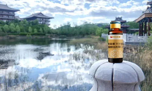 和治友德 | 夏至养生指南：科学养生四原则