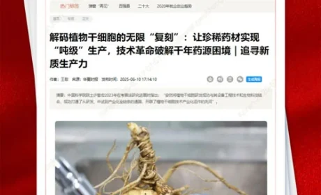 华夏时报报道:解码安然植物干细胞的无限复刻