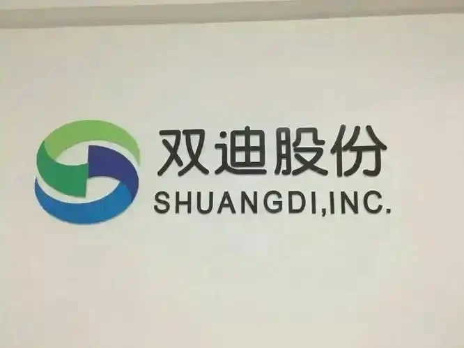 大连甘井子区民主建国会代表到双迪参观访问