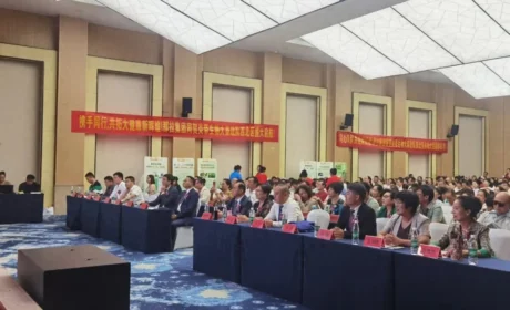 炎帝双城记：西安点燃大秦战火，镇江扬帆数字梦想