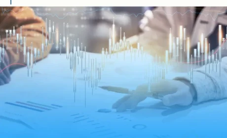 外资直销公司2025上半年财报盘点