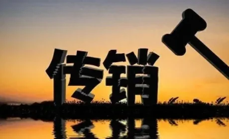 3.5万买66棵虚拟茶苗血本无归，京山检察揭开传销画皮