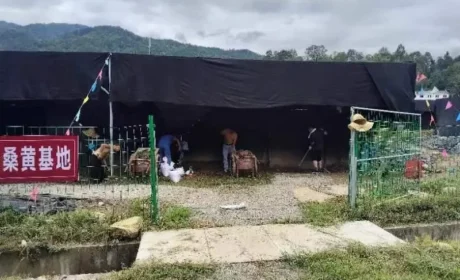 康美莱组织支援团队赴参访基地改造大棚条件