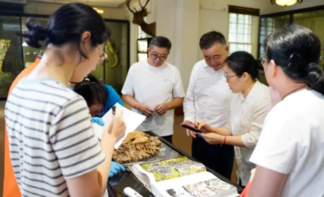 安惠药用真菌科学研究所研究人员到南通博物苑开展菌物物种鉴定工作