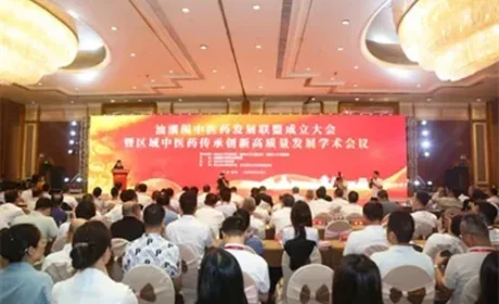 康美药业参加汕潮揭中医药发展联盟成立大会