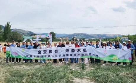 安利（中国）助农项目结硕果，木垒县鹰嘴豆有机农场新品种喜获丰收