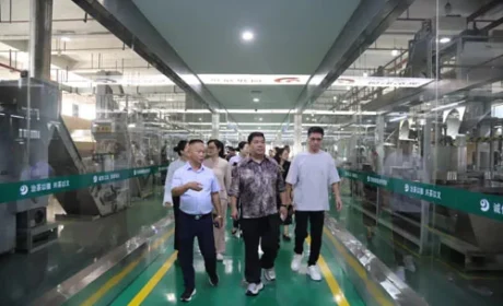 理想华莱：共探黑茶出海路同筑丝路新篇章