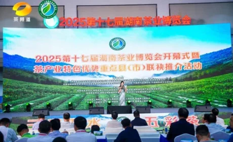 理想华莱闪耀2025第十七届湖南茶业博览会