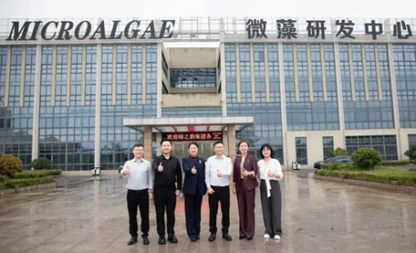 绿之韵-赐百年微藻联合创新实验室落户江苏