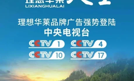 中央广播电视总台一行莅临理想华莱考察交流