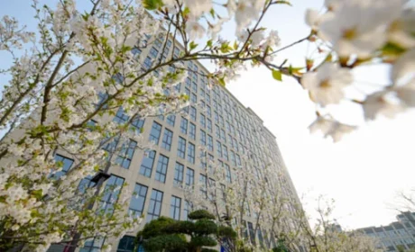 从黄浦江边到北美:春芝堂用技术传递中国温度