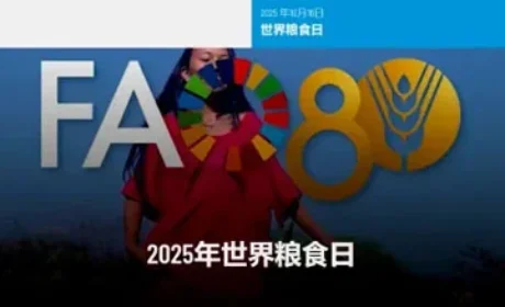 和治友德 | 世界粮食日：手拉手共倡多样美食