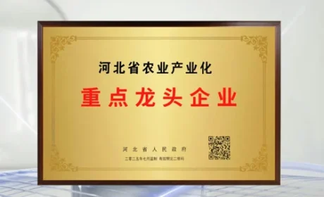 金木荣获河北省农业产业化重点龙头企业称号