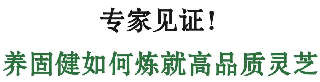无限极 | 专家见证，养固健如何炼就高品质灵芝