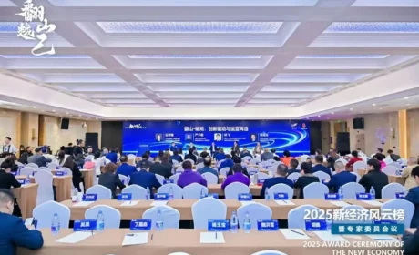 理想华莱受邀参加第二十一届（2025）新经济风云榜暨专家委员会议 三项荣誉彰显集团实力