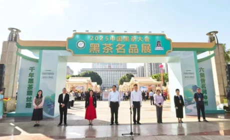 理想华莱出席2025中国黑茶大会 共绘蓝图