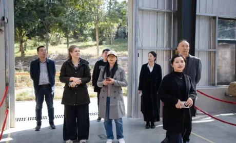 德国专家一行莅临理想华莱调研 探寻黑茶“文化+科技”国际化发展新路径