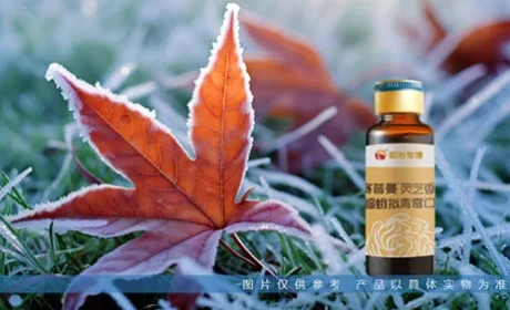 和治友德|世界流感日：提升免疫 远离流感