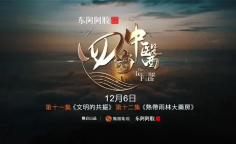 《四海中医》深入巴西与墨西哥循迹 见证多元医疗体系的融合共生