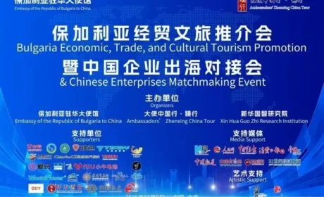 理想华莱精彩亮相“保加利亚经贸文旅推介会暨中国企业出海对接会”