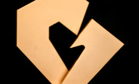 喜讯连连，完美公司以实力续写荣誉新篇