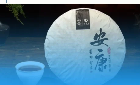 理想华莱：以非遗技艺为笔 绘茶文化新卷