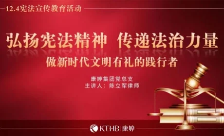 弘扬宪法精神 康婷党总支开展普法宣传活动