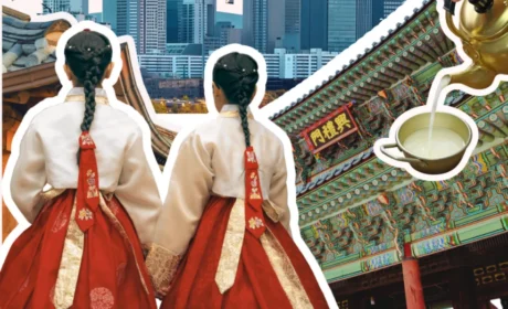 向美而行·跃阶新生 | 2025乐活幸福家韩国圃美多集团溯源之旅圆满收官