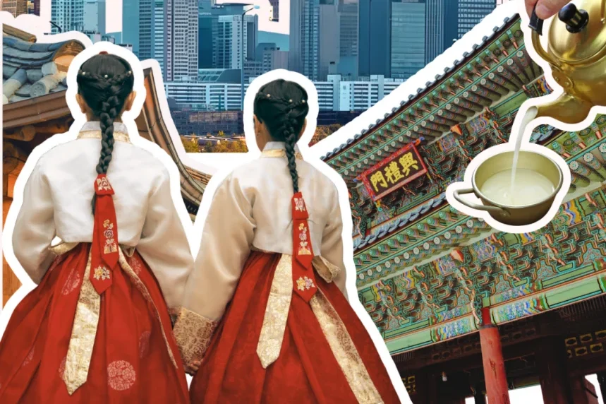 向美而行·跃阶新生 | 2025乐活幸福家韩国圃美多集团溯源之旅圆满收官