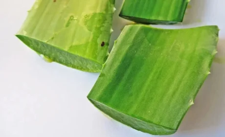 成就精彩：康宝莱“三位一体”质量理念