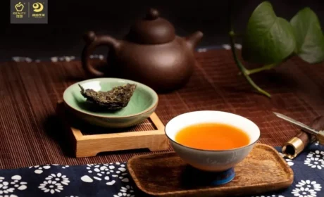 理想华莱：科技赋能产业升级 助力黑茶高质量发展