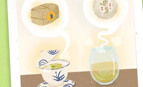 条漫 | 喝茶，哪那么多规矩？