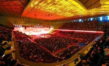 十七载躬行与破局：金科伟业的大健康之路