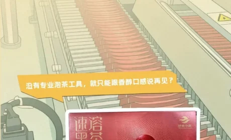 理想华莱速溶茶：科技赋能的黑茶新体验