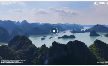 越山海,见世界!三八妇乐2025越南下龙湾文化之旅步履不停!