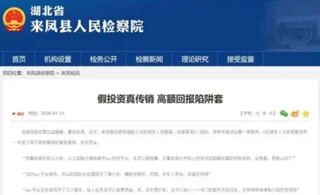 “SPC平台”假投资真传销 警惕高额回报套陷阱