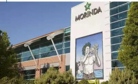 戴维接棒大溪地诺丽大中华区 蓄力中国市场发展