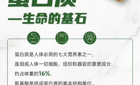 康宝莱 | 吃得多≠营养好!重视“健康第一道防线”,从补充蛋白质开始