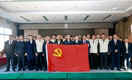 牢记初心使命 砥砺奋进前行——理想华莱党委开展新年主题党日活动