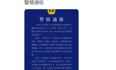 上海宝山公安通报：“艾兴合”最新消息，吴某勤等19人已被批捕