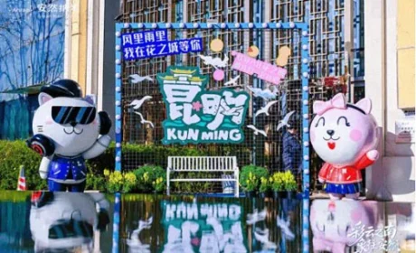 “彩云之南・象往安然”荣耀之旅正式启航