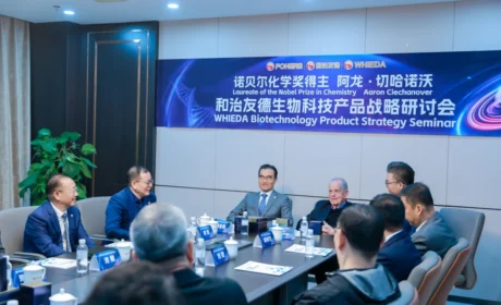 2025和治友德:企业焕新的现代化答卷