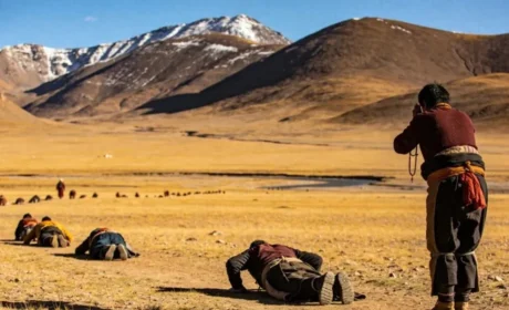 金诃藏药 | 藏医药与信仰共生:传承千年的健康智慧飘向世界